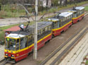 Jednodniowy powr�t potr�jniak�w