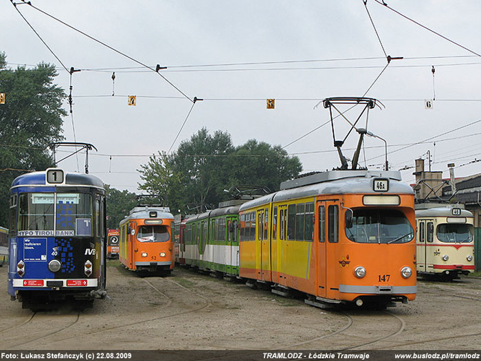 Foto: �ukasz Stefa�czyk (c)